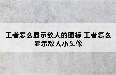 王者怎么显示敌人的图标 王者怎么显示敌人小头像